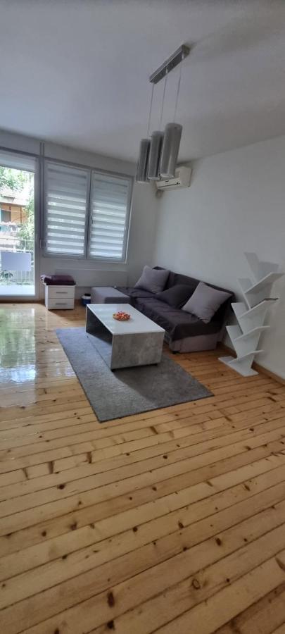 Smederevka1 Apartment